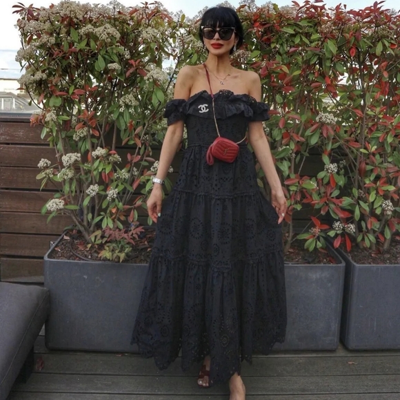 NWTs zara limited edition eyelet embroidered maxi dress xsmall - Picture 12 of 12